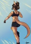  absurd_res anthro armain bun_(hairstyle) clothing female hair hi_res kangaroo macropod mammal marsupial solo sun 