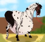  2021 belly big_belly black_spots black_tail butt digital_media_(artwork) equid equine female feral harness hi_res horse hyper hyper_belly inflation looking_at_viewer mammal marlett multicolored_body one_leg_up pregnant pregnant_belly pregnant_female presenting presenting_hindquarters priestofjashin raised_leg red_harness short_maned simple_background solo spots spotted_body spotty white_body 