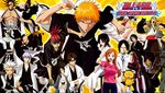  abarai_renji aizen_sousuke bleach hinamori_momo hitsugaya_toushirou ichimaru_gin inoue_orihime kon kuchiki_byakuya kuchiki_rukia kurosaki_ichigo kusajishi_yachiru madarame_ikkaku shiba_kuukaku urahara_kisuke uryuu_ishida yasutora_sado zaraki_kenpachi 