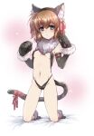  1girl animal_ears bangs bed_sheet bikini black_bikini black_footwear black_gloves blue_eyes bow breasts brown_hair cat_tail closed_mouth commentary_request elbow_gloves expressionless eyebrows_visible_through_hair fake_animal_ears fake_tail frown full_body fur_collar gloves groin kneeling kuroi_mimei looking_at_viewer lyrical_nanoha mahou_shoujo_lyrical_nanoha mahou_shoujo_lyrical_nanoha_a&#039;s mahou_shoujo_lyrical_nanoha_a&#039;s_portable:_the_battle_of_aces material-s medium_hair navel on_bed paw_boots paw_gloves paws red_ribbon ribbon small_breasts swimsuit tail tail_bow tail_ornament tail_ribbon 