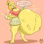  animal_crossing anthro canid canine canis dog_tags domestic_dog female female/female furry_pred hi_res imafetish intersex isabelle_(animal_crossing) mammal nintendo pregnant pregnant_belly pregnant_female pregnant_intersex pregnant_sex sex solo video_games vore 