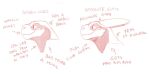  anthro comparison directional_arrow drajak english_text headshot_portrait horn insult komodo_dragon lizard male mocking monitor_lizard monochrome portrait profile redponei reptile scalie shadow side_view simple_background sketch solo text white_background 