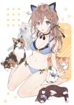  1girl :o animal animal_ears bangs bare_shoulders barefoot bell black_bow black_choker black_ribbon blue_bow blue_bra blue_eyes blue_panties bow bra breasts brown_hair cat cat_day choker cleavage collarbone commentary fake_animal_ears full_body hair_between_eyes hair_ornament highres horiizumi_inko jewelry leaning_back long_hair looking_at_another looking_at_viewer navel neck_bell open_mouth original panties paw_print ribbon side_ponytail simple_background sitting small_breasts solo stomach symbol_commentary underwear white_background white_cat yawning yellow_eyes 