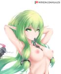  breasts elf goblin_slayer goblin_slayer_(character) high_elf_archer kilalesi nipples pointy_ears tagme topless 