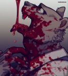  anthro beastars blood blood_covered blood_on_clothing bodily_fluids clothed clothing gore hi_res kadikadisake male mammal riz_(beastars) sharp_teeth solo tears teeth ursid 