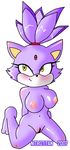  2007 big_breasts blaze_the_cat blush breasts cat cool_colors feline female fur kneeling mammal modeseven navel nipples nitrotitan nude plain_background ponytail purple_fur pussy sega solo sonic_(series) sonic_team white_background yellow_eyes 