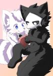  absurd_res ambiguous_gender anthro black_body black_fur blue_eyes book canid canine canis changed_(video_game) duo fur hi_res lin_(changed) looking_down male mammal mavel pink_background puro_(changed) reading simple_background sitting white_background white_body white_fur wolf 