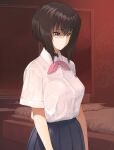  1girl a1 black_hair blue_skirt breasts brown_eyes closed_mouth commentary_request girls_und_panzer kawashima_momo medium_breasts monocle pink_neckwear pink_ribbon pleated_skirt ribbon shirt short_hair short_sleeves skirt solo white_shirt 