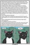  colored comic domestic_cat duo english_text felid feline felis feral hi_res jake_(warriors) male male/male mammal outside shaded talltail_(warriors_cats) text thathornycat warriors_(cats) 