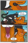  anus balls colored comic domestic_cat duo english_text felid feline felis feral genitals hi_res jake_(warriors) male male/male mammal outside paws penile_spines penis shaded talltail_(warriors_cats) text thathornycat warriors_(cats) 