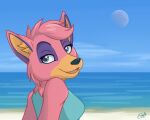  5:4 anthro beach bedroom_eyes black_nose blue_eyes canid canine clothed clothing cloud emilythepenguin facial_tuft female fox fur hair half_closed inner_ear_fluff mammal moon narrowed_eyes neck_tuft open_mouth outside pink_body pink_fur pink_hair purple_body purple_fur sand sea seaside seductive signature sky solo tuft water yellow_body yellow_fur 