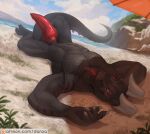  animal_genitalia anthro balls beach big_penis conditional_dnp danza dragon genitals girthy knot landscape male malzel_(kojimafire) muscular muscular_anthro muscular_male patreon penis seaside sheath solo spreading 