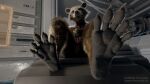  3d_(artwork) 5_toes absurd_res anthro blender_(software) claws digital_media_(artwork) feet first_person_view foot_fetish foot_focus guardians_of_the_galaxy hi_res male mammal marvel masturbation paws procyonid raccoon rocket_raccoon simple_background solo stormrider toes 