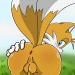  anal bent_over butt canid canine fox humanoid male male/male mammal miles_prower pinup pose solo sonic_the_hedgehog_(series) spankynutz69 