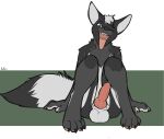  anthro balls canid canine canis genitals hi_res hybrid_genitalia ketei knot male mammal pose solo tongue tongue_out wolf 