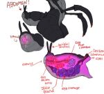  antennae_(anatomy) anthro arthropod arthropod_abdomen arthropod_abdomen_genitalia arthropod_abdomen_pussy artlegionary bodily_fluids collage cyth_(artlegionary) egg female genital_fluids genitals insect internal nude ovum pink_pussy pussy pussy_juice solo 