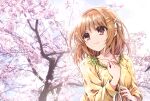  1girl bow breasts brown_eyes brown_hair cherry_blossoms closed_mouth collarbone commentary_request day flower hair_bow hair_ornament hairclip hands_up looking_away looking_to_the_side medium_breasts outdoors pink_flower shakugan_no_shana shirt smile solo tachitsu_teto tree upper_body white_bow x_hair_ornament yellow_shirt yoshida_kazumi 