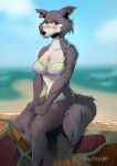  2021 5_fingers anthro beach beastars bikini black_nose blue_eyes blush breasts brown_body brown_fur canid canine canis cleavage clothed clothing countershade_face countershade_torso countershading female fingers fur hi_res humanoid_hands juno_(beastars) looking_at_viewer mammal scrappyvamp seaside signature sitting smile solo swimwear wolf 