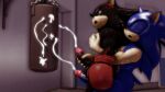  3d_(artwork) absurd_res bodily_fluids boxing_gloves clothing cum cumshot digital_media_(artwork) duo ejaculation erection exercise genital_fluids genitals gym handjob handwear hi_res looking_pleasured male male/male muscular muscular_male penile penis punching_bag sex shadow_the_hedgehog sonic_the_hedgehog sonic_the_hedgehog_(series) sonicthebitch source_filmmaker thigh_sex workout 