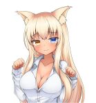  1girl :3 absurdres animal_ears blonde_hair blue_eyes blush breasts brown_eyes cat_ears cleavage closed_mouth coconut_(nekopara) collared_shirt commentary commission dot_nose english_commentary heterochromia highres klaius large_breasts long_hair long_sleeves looking_at_viewer nekopara paw_pose shirt simple_background smile solo upper_body white_background white_shirt wing_collar 