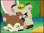  animated boss hamtaro maxwell tagme 