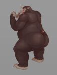  absurd_res anthro barmaku brown_body brown_fur butt dragon_ball dragon_ball_z fur hi_res male mammal oozaru primate red_eyes solo tail_removed transformation 