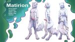  16:9 anthro blue_eyes clothing coat felid fluffy fluffy_tail genitals hair hi_res lab_coat male mammal matirion pantherine pawpads paws penis snow_leopard solo topwear white_hair widescreen zraxi 