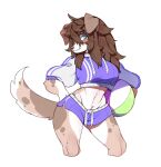  anthro australian_shepherd ball blue_eyes bottomwear brown_body brown_fur canid canine canis clothed clothing crop_top domestic_dog female fur hair hand_on_hip herding_dog hi_res looking_at_viewer mammal midriff multicolored_body multicolored_fur pastoral_dog punipaws sheepdog shirt shorts simple_background solo topwear volleyball_(ball) white_background 