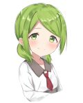  1girl absurdres bangs blush closed_mouth collarbone collared_shirt cropped_torso eyebrows_visible_through_hair green_eyes green_hair highres looking_at_viewer low_twintails morinaka_kazaki necktie nijisanji red_neckwear shirt short_necktie short_twintails simple_background smile solo swept_bangs twintails upper_body virtual_youtuber white_background white_shirt yotsugi 