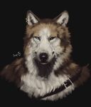  2021 anthro canid canine canis detailed detailed_fur ear_piercing ear_ring heterochromia hi_res looking_at_viewer male mammal painting piercing portrait reyes_(sepulte) sepulte signature simple_background solo wolf 