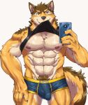  abs animated barrel_(live-a-hero) brown_body brown_fur bulge canid canine canis cellphone clothed clothing clothing_lift fur genital_outline genitals humanoid_genitalia humanoid_penis live-a-hero looking_at_viewer male mammal mirror_selfie muscular muscular_male nipples pecs penis penis_outline phone pubes selfie shirt shirt_lift short_playtime simple_background smartphone solo tan_body tan_fur topwear underwear video_games weedwolfeatmeat white_background wolf 