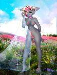  absurd_res anthro balls bovid breasts caprine flowers_in_hair genitals goat gynomorph hi_res intersex mammal mertzdn_(artist) penis rose_(rosethegoat) solo veil 