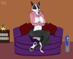  0v00w0_(artist) 5:4 absurd_res anthro border breasts canid canine canis chelana clothing cold collie cover domestic_dog dreamworks dvd_cover eyes_closed eyeshadow feet furniture heater herding_dog hi_res hoodie makeup mammal meme meme_clothing mostly_nude orange_sclera pastoral_dog pawpads paws pillow plushie shaking sheepdog shelf shivering shrek_(character) shrek_(series) simple_background sitting sitting_on_chair sofa solo topwear tuft twitter_hoodie 