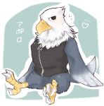  &lt;3 2017 4_toes accipitrid accipitriform animal_crossing anisodactyl anthro apollo_(animal_crossing) avian bald_eagle beak bird bird_feet black_eyes bottomless claws clothed clothing digital_media_(artwork) eagle feathers featureless_crotch feet full-length_portrait galette grey_body grey_feathers hi_res japanese_text looking_at_viewer male multicolored_body multicolored_feathers nintendo outline portrait scutes sea_eagle simple_background sitting solo spread_legs spreading talons text toe_claws toe_curl toes topwear translation_request vest video_games white_body white_claws white_feathers white_outline yellow_beak zipper 