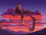  cloud clouded domestic_cat felid feline felis feral hi_res leopard male mammal mountain pantherine solo varisart 