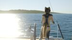  16:9 3d_(artwork) anthro bikini boat butt canid canine canis clothing detailed_background digital_media_(artwork) female fur isal island mammal outside rear_view sea solo swimwear vehicle water watercraft widescreen wolf 