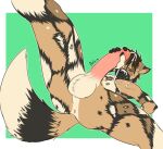  2016 african_wild_dog anixis anthro anus balls blush bodily_fluids border brown_body brown_fur butt canid canine conditional_dnp cum cum_on_face cum_on_own_face cum_on_self erection fox fur genital_fluids genitals green_background holding_penis humanoid_genitalia humanoid_penis hybrid male mammal nude one-bud penis pink_penis signature simple_background solo white_border 