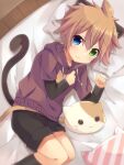  1boy animal_ears cat_boy cat_ears cat_pillow cat_tail eyebrows_visible_through_hair hair_between_eyes highres hood hoodie male_focus meranoreuka_(naokentak) on_bed original shorts solo tail 