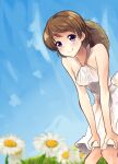  1girl bare_shoulders blue_sky blush boa_(brianoa) breasts brown_hair closed_mouth daisy dress flour flower hands_on_own_knees hat hat_on_back highres koizumi_hanayo looking_at_viewer love_live! love_live!_school_idol_project medium_breasts purple_eyes short_hair sky smile solo straw_hat 
