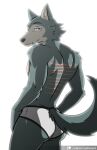  2021 anthro back_muscles beastars briefs butt canid canine canis clamcrusher clothed clothing fur grey_body grey_eyes grey_fur legoshi_(beastars) looking_at_viewer looking_back male mammal pinup portrait pose scar simple_background solo three-quarter_portrait underwear underwear_only white_background wolf 