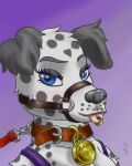  absurd_res anthro blue_eyes canid canine canis clothed clothing collar dalmatian domestic_dog english_text female hi_res leash liryal mammal muzzle_(object) muzzled smile smirk solo text tongue tongue_out 