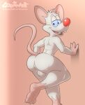  anthro butt claws gobanire hindpaw looking_at_viewer male mammal mouse murid murine paws pinky_(warner_brothers) pinky_and_the_brain red_nose rodent simple_background solo warner_brothers 