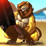  1:1 absurd_res anthro beach diegojhol felid feng_lion genitals hi_res humanoid_genitalia humanoid_penis lion male mammal muscular muscular_anthro muscular_male pantherine penis seaside solo wet 