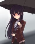  1girl boa_(brianoa) closed_mouth highres inu_x_boku_ss long_hair looking_at_viewer purple_eyes purple_hair shirakiin_ririchiyo simple_background solo umbrella very_long_hair 