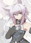  1girl ahoge animal_ears atalanta_(alter)_(fate) atalanta_(fate) bare_shoulders black_dress black_neckwear black_sleeves braid cat_ears cat_tail closed_mouth collar detached_sleeves dress eyebrows_visible_through_hair fate/grand_order fate_(series) gradient_hair green_eyes hair_between_eyes hand_on_own_chest long_hair long_sleeves looking_at_viewer multicolored_hair multiple_views nahu purple_hair sidelocks simple_background tail upper_body white_background white_hair 