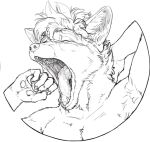  animal_genitalia animal_penis anthro bodily_fluids canid canine canine_penis flaccid fox genital_fluids genitals hi_res knot male mammal open_mouth penis penis_tongue precum sarvak_(character) shadowfenris solo yawn 