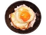  bowl egg food food_focus fried_egg garnish highres momiji_mao no_humans original pepper realistic rice shiny signature simple_background sparkle still_life white_background 