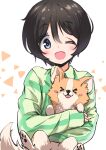  &gt;_&lt; 1girl :d absurdres animal black_hair blue_eyes blush blush_stickers chihuahua chikuwa_(yurucamp) dog eyebrows_visible_through_hair highres holding holding_animal holding_dog hug n2midori one_eye_closed open_mouth saitou_ena short_hair simple_background smile tongue tongue_out upper_body yurucamp 