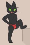  bulge cartoon_network clothing domestic_cat felid feline felis hi_res male mammal mao_mao:_heroes_of_pure_heart mezzanine_(artist) muscular muscular_male sheriff_mao_mao_mao solo underwear 