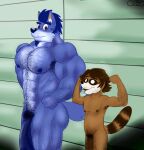  2016 5_fingers abs anthro armpit_hair biceps big_muscles big_penis blue_body blue_hair body_hair brown_body brown_hair canid canine canis chest_hair colored detailed detailed_background digital_drawing_(artwork) digital_media_(artwork) duo eyebrows facial_hair fingers flaccid flexing genitals goatee guzreuef hair hairy hairy_armpits hairy_arms hi_res huge_penis humanoid_genitalia humanoid_penis looking_at_another male mammal muscular muscular_anthro muscular_male nipples nude olimacdoodles pacho_(olimacdoodles) pecs penis pose procyonid pubes raccoon shaded shower size_difference skinny smile standing watermark wolf 